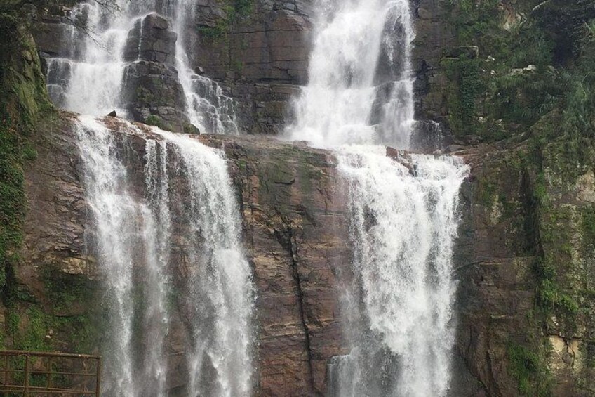 Full-Day Kandy - Nuwara Eliya - Kandy Private Tour 5