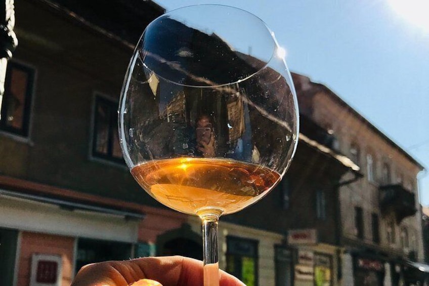 Food and Wine Tasting with a Sommelier 5