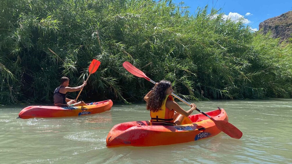 Two people kayaking on a river surrounded by dense greenery. 5