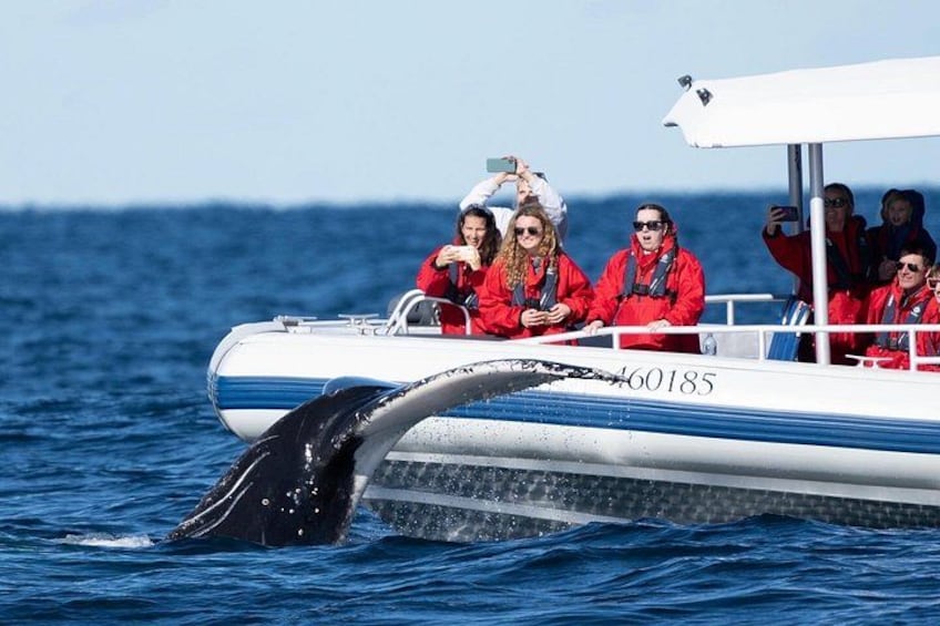 A boat with passengers in red jackets, a whale's tail, and the ocean. 2