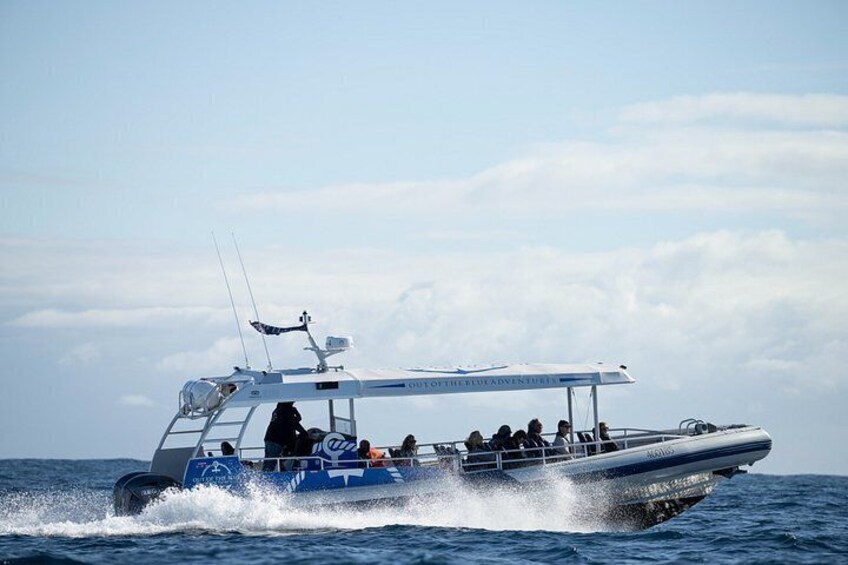 Een speedboot met passagiers die door de oceaan vaart. 2