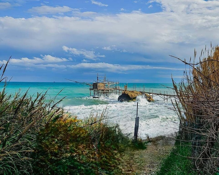 A coastal scene with a pier extending into turquoise waters, surrounded by vegetation. 3