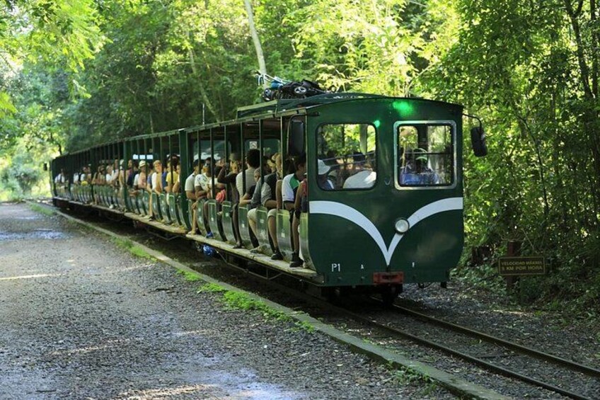 Un tren verde con pasajeros viajando por una zona boscosa. 4