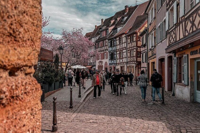 Eine Kopfsteinpflasterstraße mit Fußgängern, traditionellen Fachwerkhäusern und Kirschblüten. 5