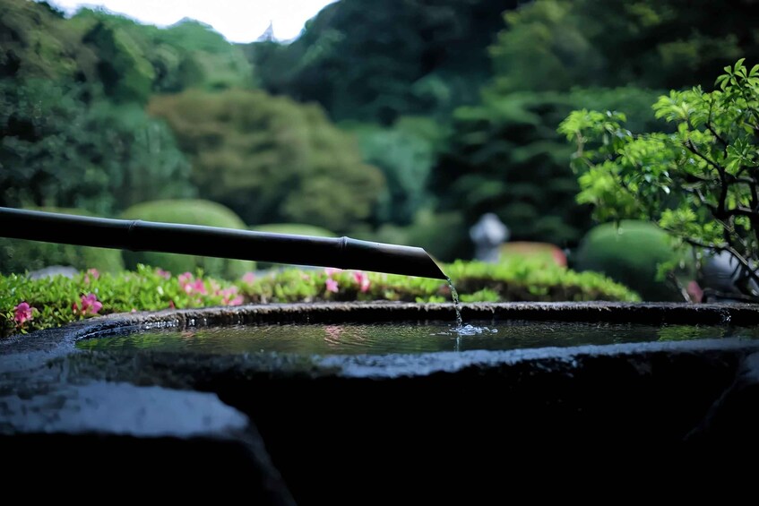 A water feature with a bamboo spout in a garden setting. 2