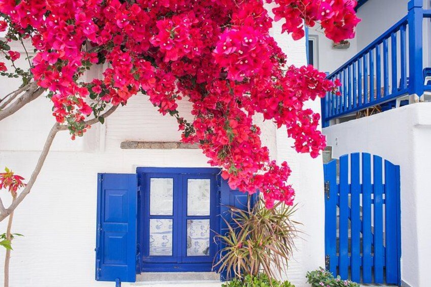 A white building with blue shutters and a blue door, surrounded by pink bougainvillea flowers. 4