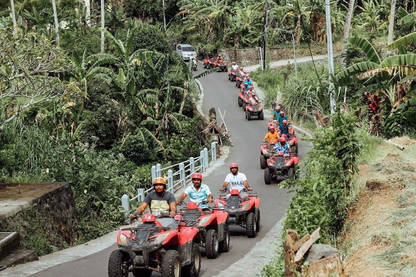 A group of people on red quad bikes driving on a winding road surrounded by dense tropical vegetation. 5