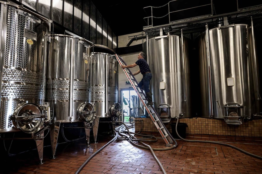 A person on a ladder working on stainless steel tanks in a brewery. 2