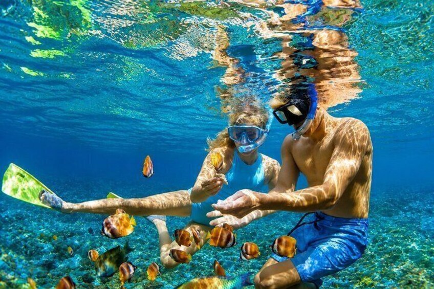 Snorkeling Sugar Beach St Lucia With Mud Bath & WaterFall Tour 3