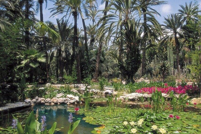 A tropical garden with a pond, water lilies, and various flowering plants. 2