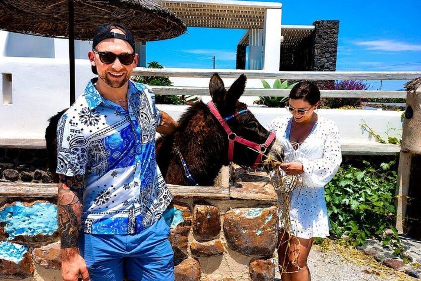 Santorini Farm to Table and Spirits Tasting Private Experience 3