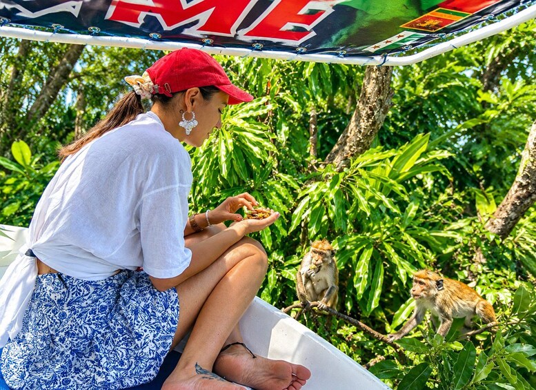 A person sitting on a boat, feeding monkeys. 2