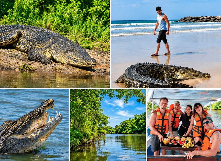 A crocodile on a beach, a person walking on the beach, a crocodile in water, and a group on a boat. 1
