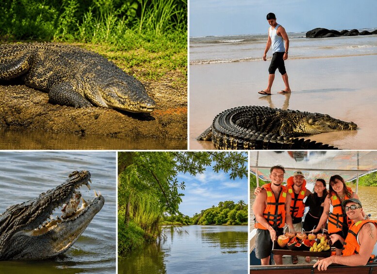 Mirissa to Matara: Crocodile, Bird, Monkey Photography Tour 1