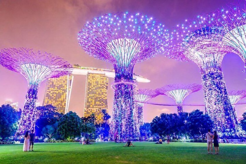 Singapore River Cruise, Night Garden Rhapsody & Spectra by LRDT 4