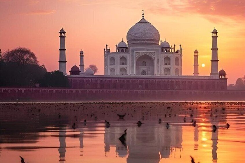 El Taj Mahal con su reflejo en el agua, rodeado por un muro bajo y árboles. 4