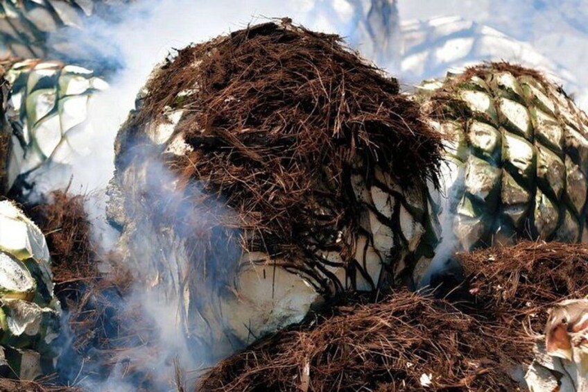 Una persona cubierta de paja y humo, posiblemente participando en una actividad o ritual tradicional. 3