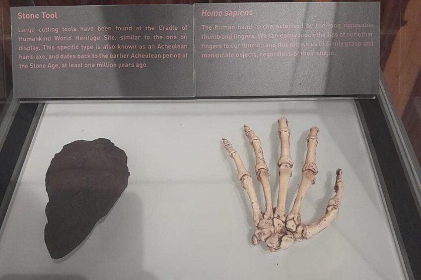 Sterkfontein Caves and Lesedi Cultural village Tour 5