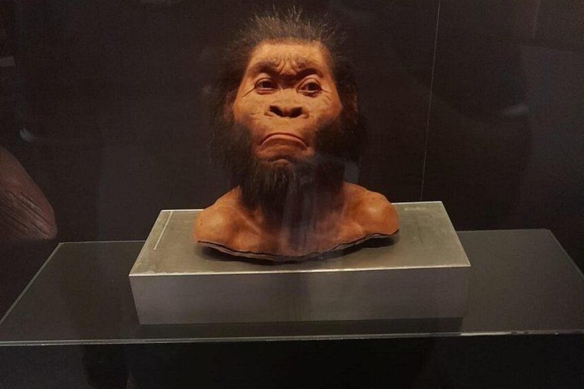 Sterkfontein Caves and Lesedi Cultural village Tour 3