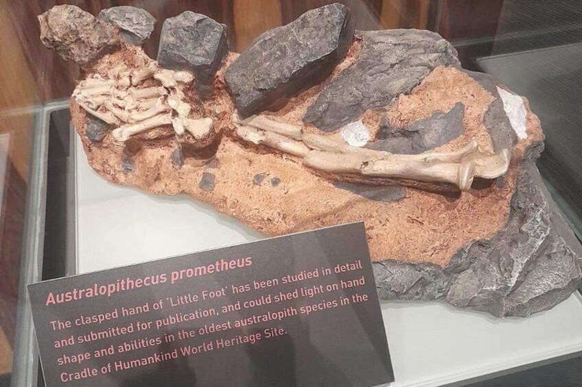 Sterkfontein Caves and Lesedi Cultural village Tour 4