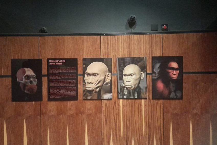A wooden wall with four panels, each with a face and a caption. 3