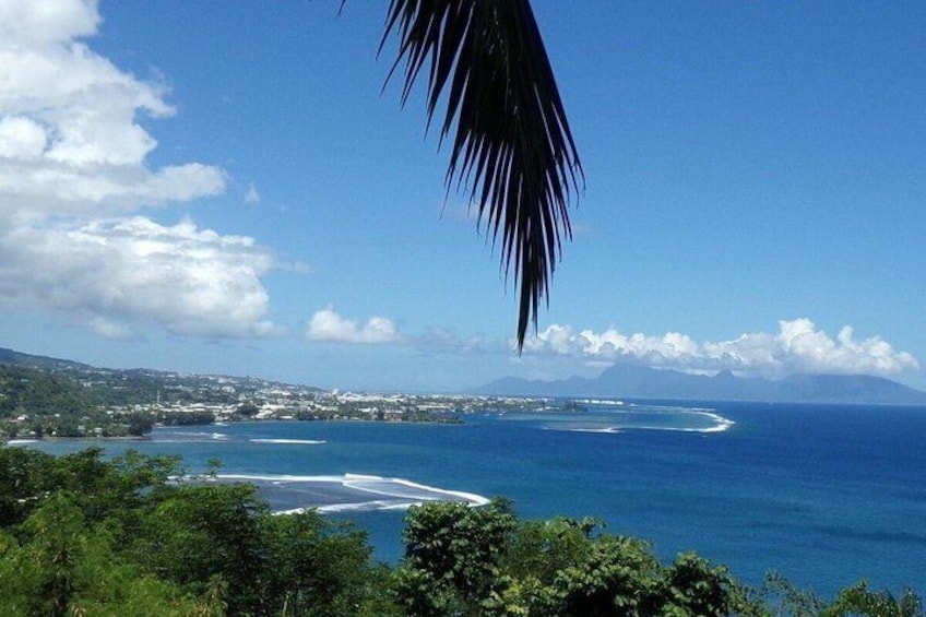 Shared Half Day Tahiti Circle Island Tour - Min 2 and up to 8 1