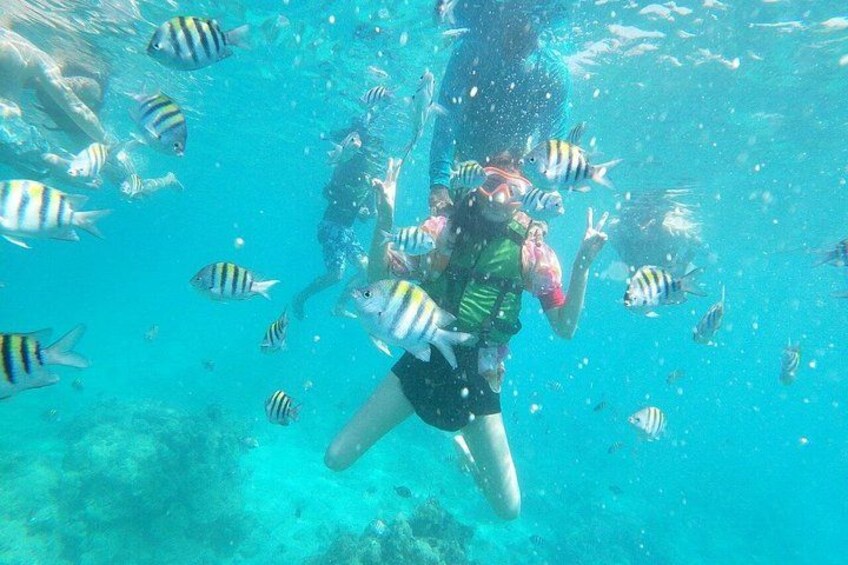 A person scuba diving with a group of fish. 3