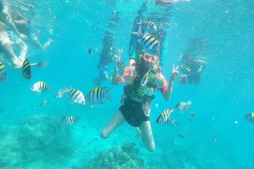 A person scuba diving surrounded by fish in clear blue water. 1