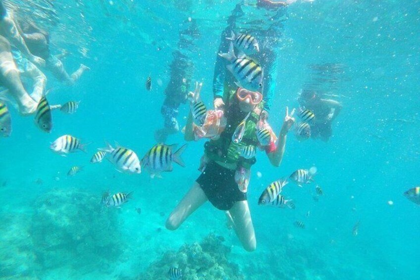 A person scuba diving surrounded by fish in clear blue water. 1