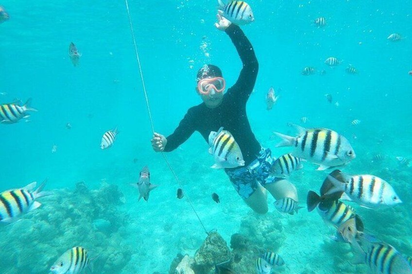 A person snorkeling underwater surrounded by fish. 4