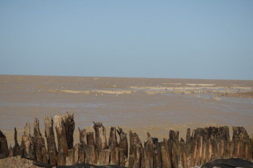 A beach with wooden posts and calm water. 5
