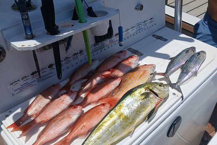 Offshore Deep Sea Fishing Charters in Pensacola Beach 4