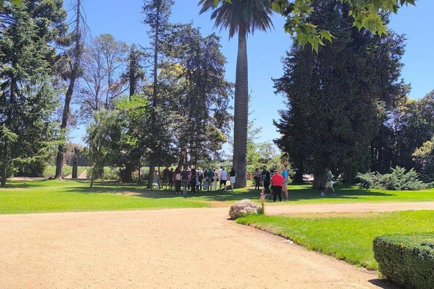 Un parque con un sendero de tierra, césped verde y árboles altos. 2