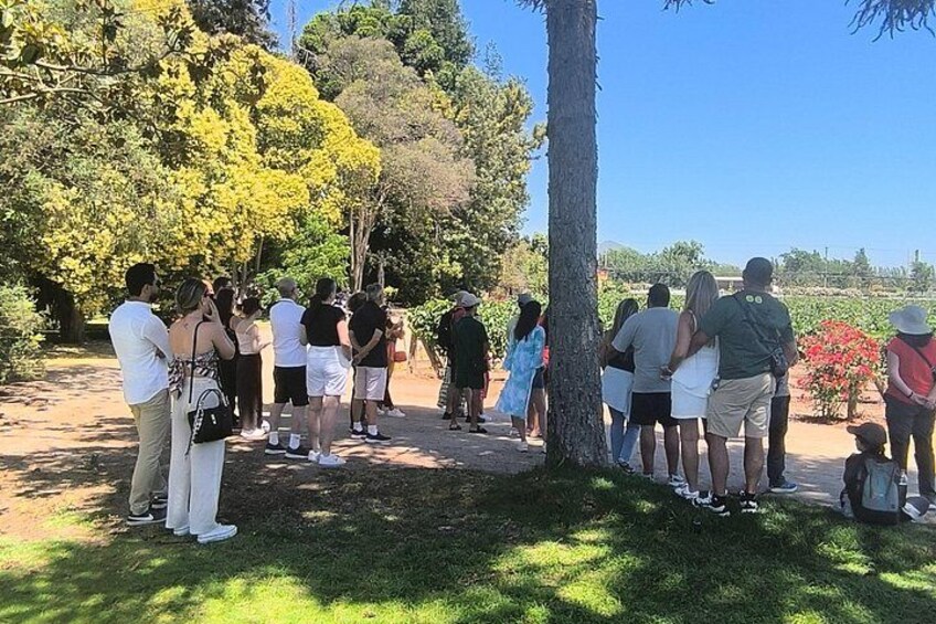 Un grupo de personas hacen fila al aire libre, posiblemente en un parque o jardín. 4