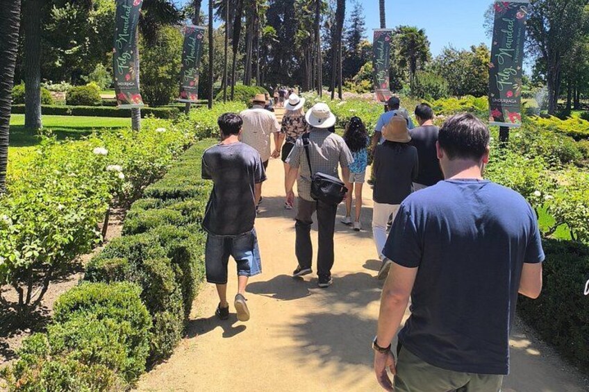 Un grupo de personas caminando por un sendero rodeado de vegetación. 3