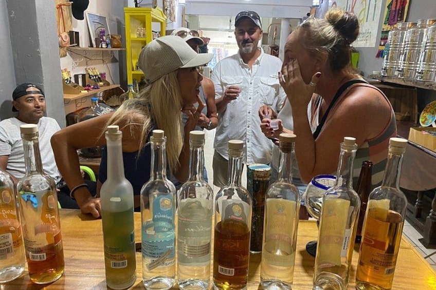Mazatlán History and Flavors shared city tour 2