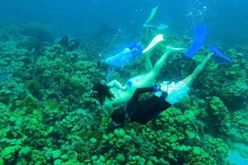 Private Island Hopping Boat Tour Rosario Island and Barú Up to 22 5