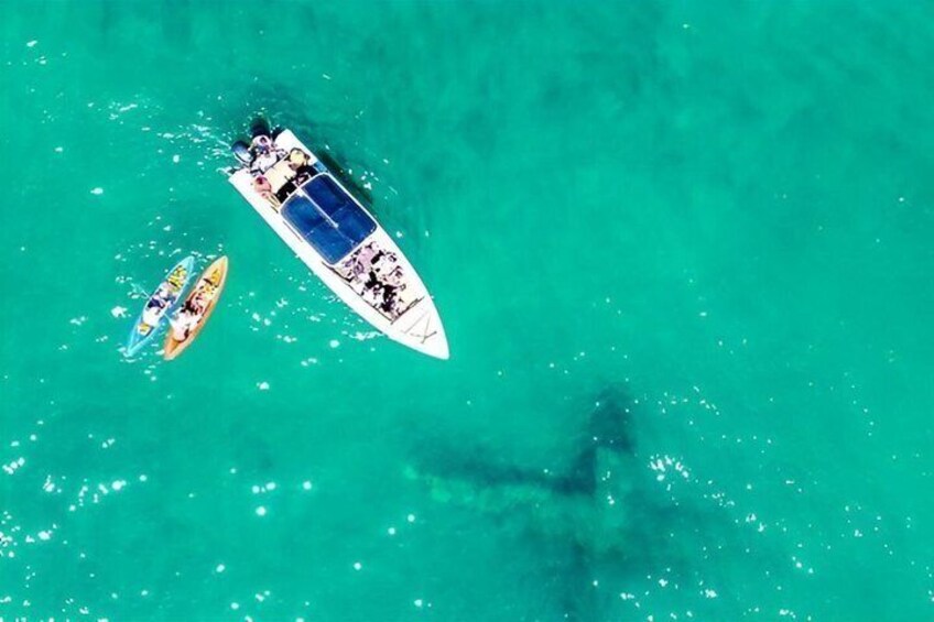 A boat with a blue deck and a smaller boat nearby in turquoise water. 4