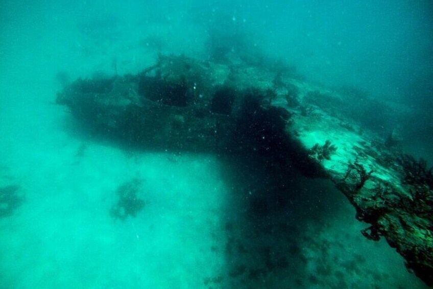 An underwater scene with a large shipwreck and marine growth. 5