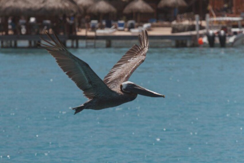 Private Island Hopping Boat Tour Rosario Island and Barú Up to 17 5