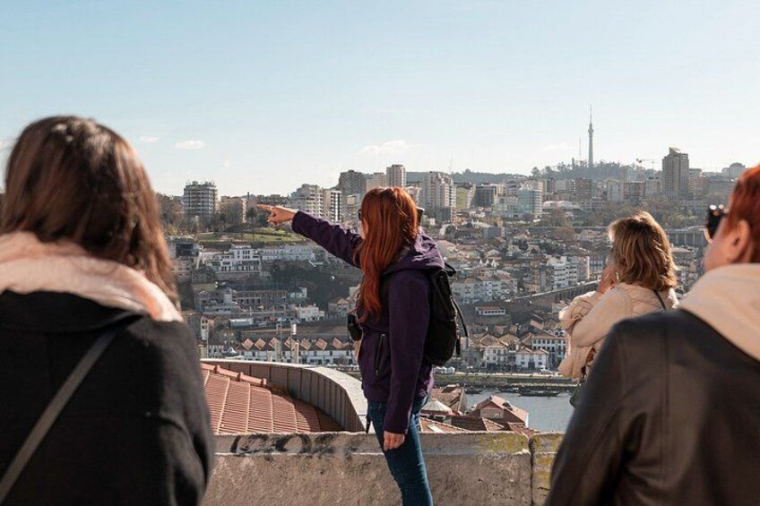A group of people overlooking a cityscape with a prominent tower. 2
