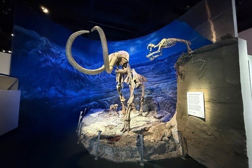 Hoodoos and Badlands Guided Day Tour with Museum Entry 2