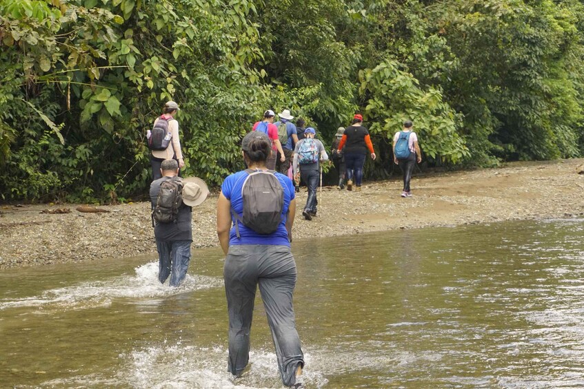 A group of hikers crossing a shallow river in a forested area. 5