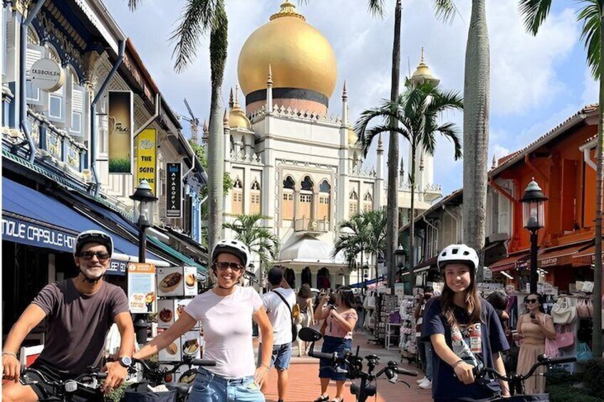 Singapore City Highlights Bike Tour (4-Hour Heritage Ride) 2