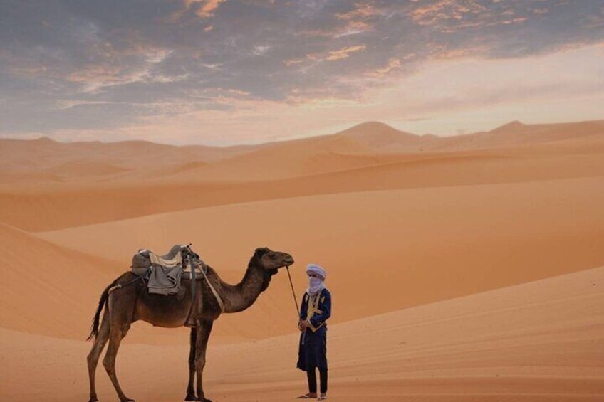 En kamel med sadel och en ryttare i ett ökenlandskap med sanddyner och berg i bakgrunden. 5