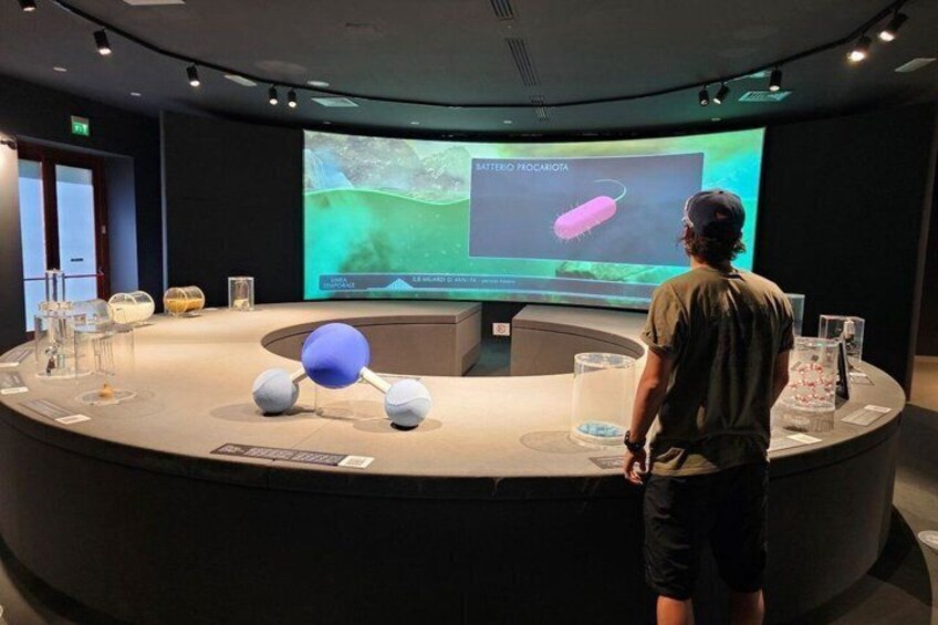 A person standing at a circular exhibit with a screen displaying a bacterium. 4