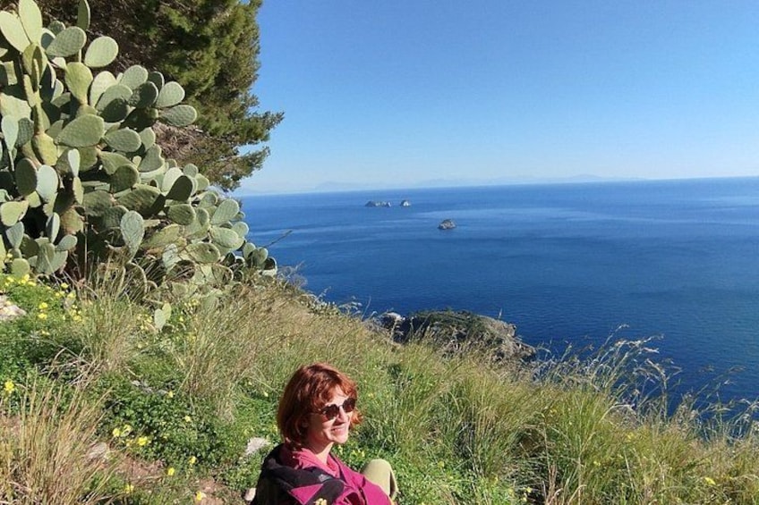 Landskab ved kysten med en kaktus, en person og havet. 5