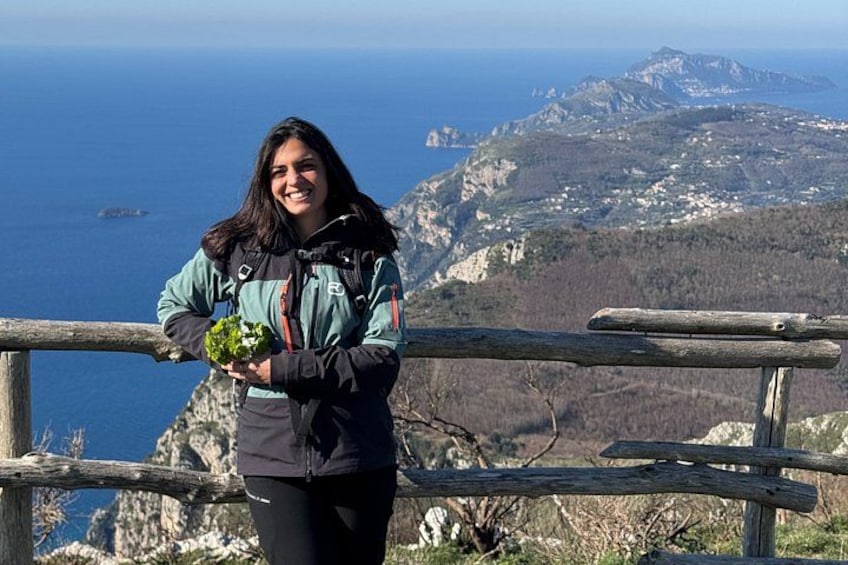En person står på en klippe med en smuk udsigt over havet og bjergene i baggrunden. 4