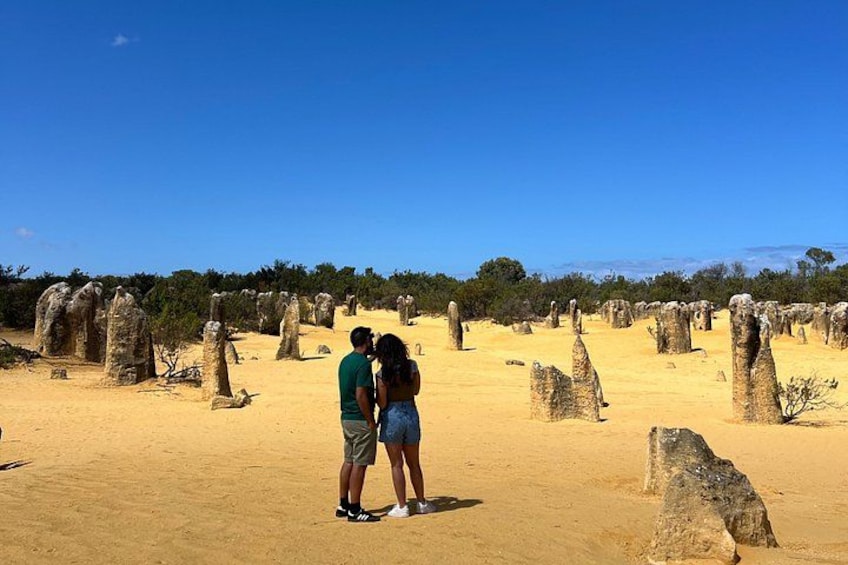Pinnacles Desert and Coastal Discovery, Private Tour from Perth 5
