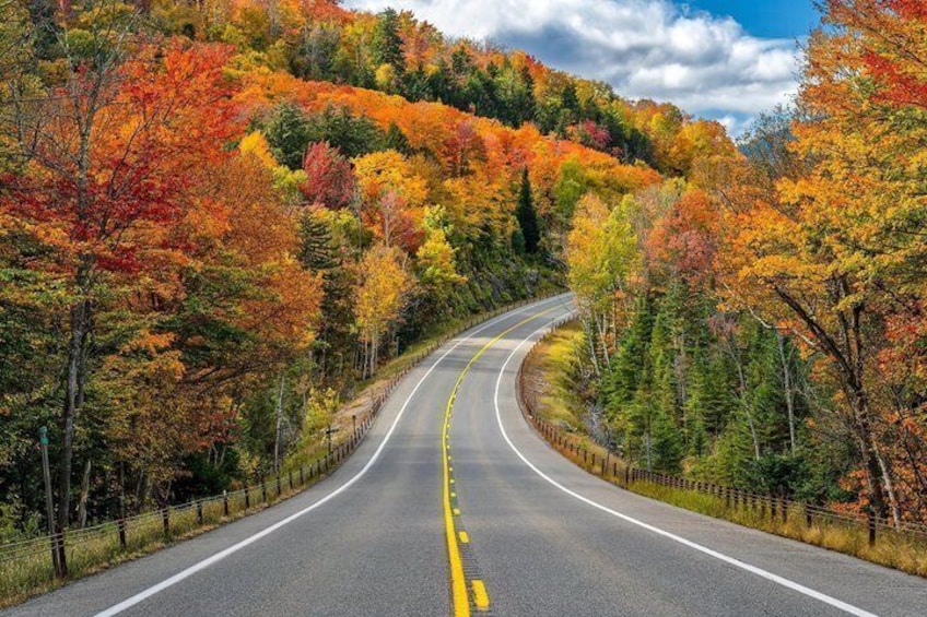 Private Jeep: Cabot Trail Scenic Tour, Sydney, Cape Breton Island 5